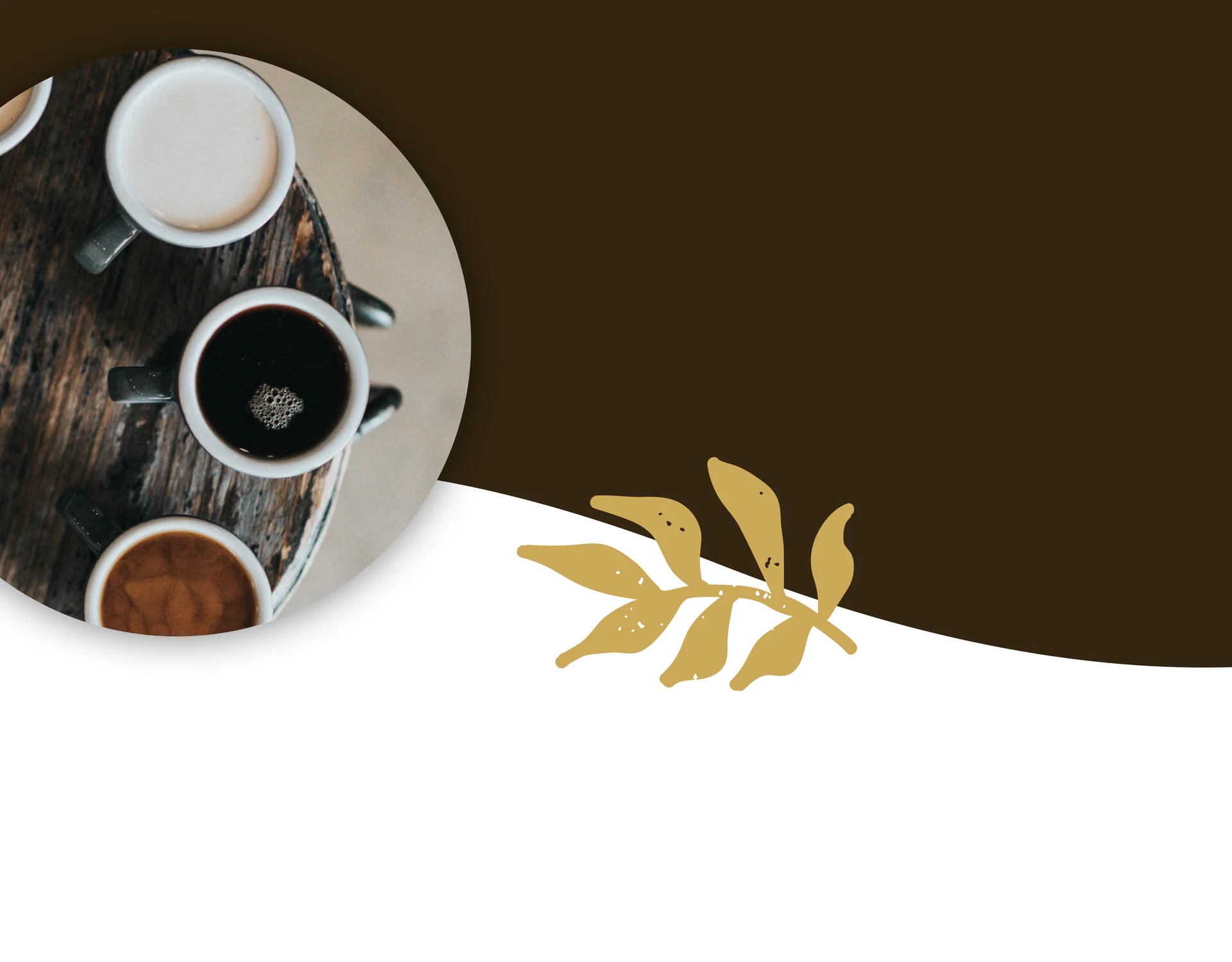 Organic Coffee
